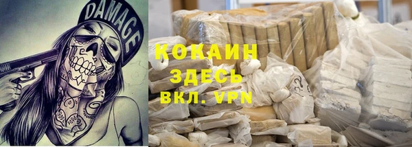 прущие грибы Майский